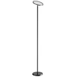 Kép 1/4 - BlitzWill BWL-FL-0002 Smart Floor Lamp 25W (black)