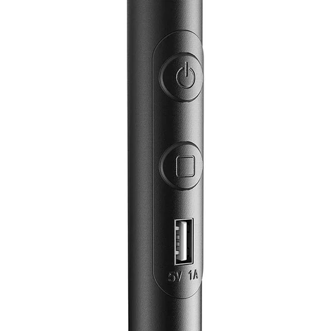 BlitzWill BWL-FL-0002 Smart Floor Lamp 25W (black)